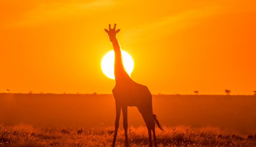 Get great deals on flights, cruises and tours. Book now!